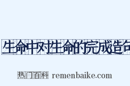 生命中对生命的完成造句是什么意思的图片
